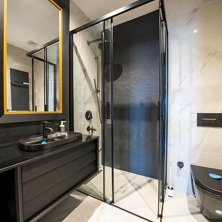 Lejlighed Beyoglu Benesta Residence, 2 Bedroom No-105 Istanbul